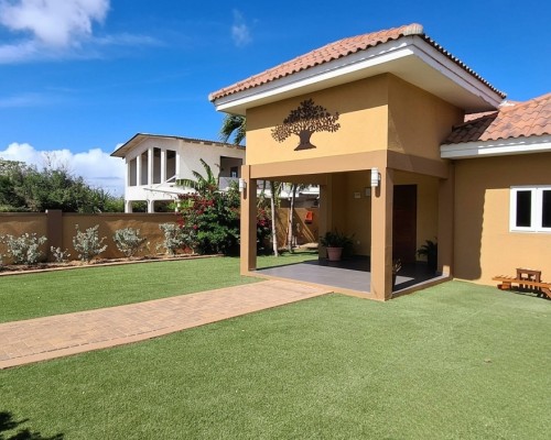 Kaya David Kaya David